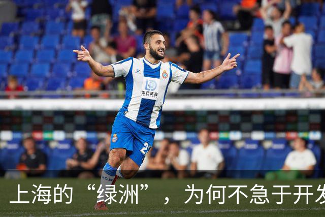 上海的“绿洲”，为何不急于开发？